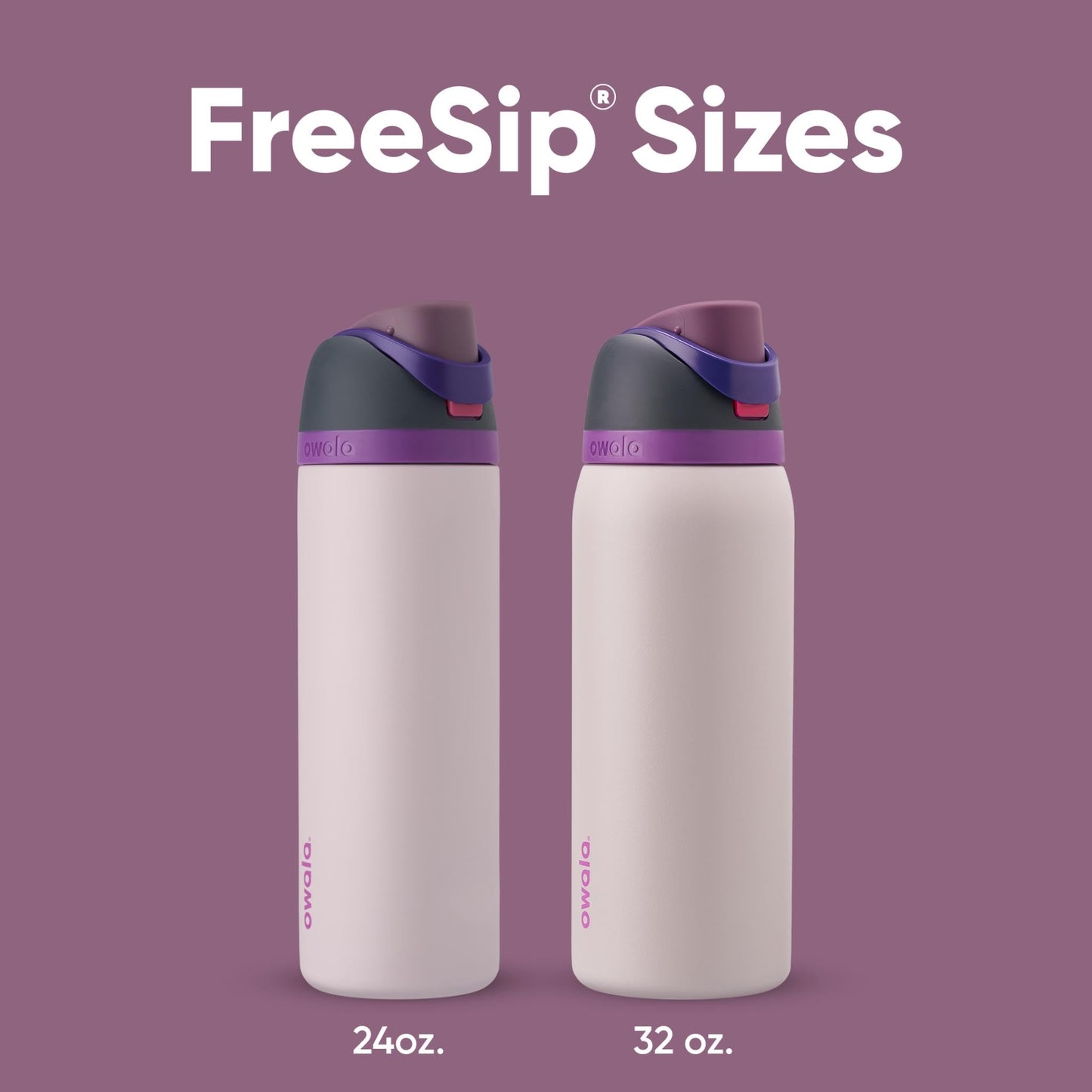 Owala FreeSip Insulated Stainless Steel Water Bottle, 710ml, Dreamy Field