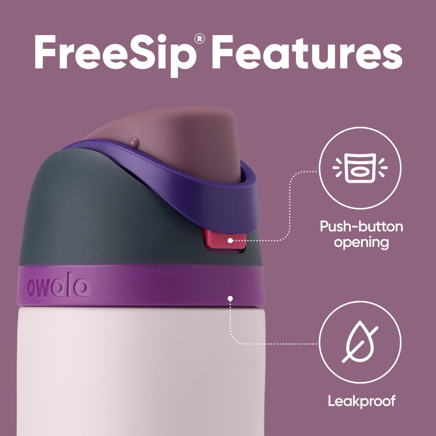 Owala FreeSip Insulated Stainless Steel Water Bottle, 710ml, Dreamy Field