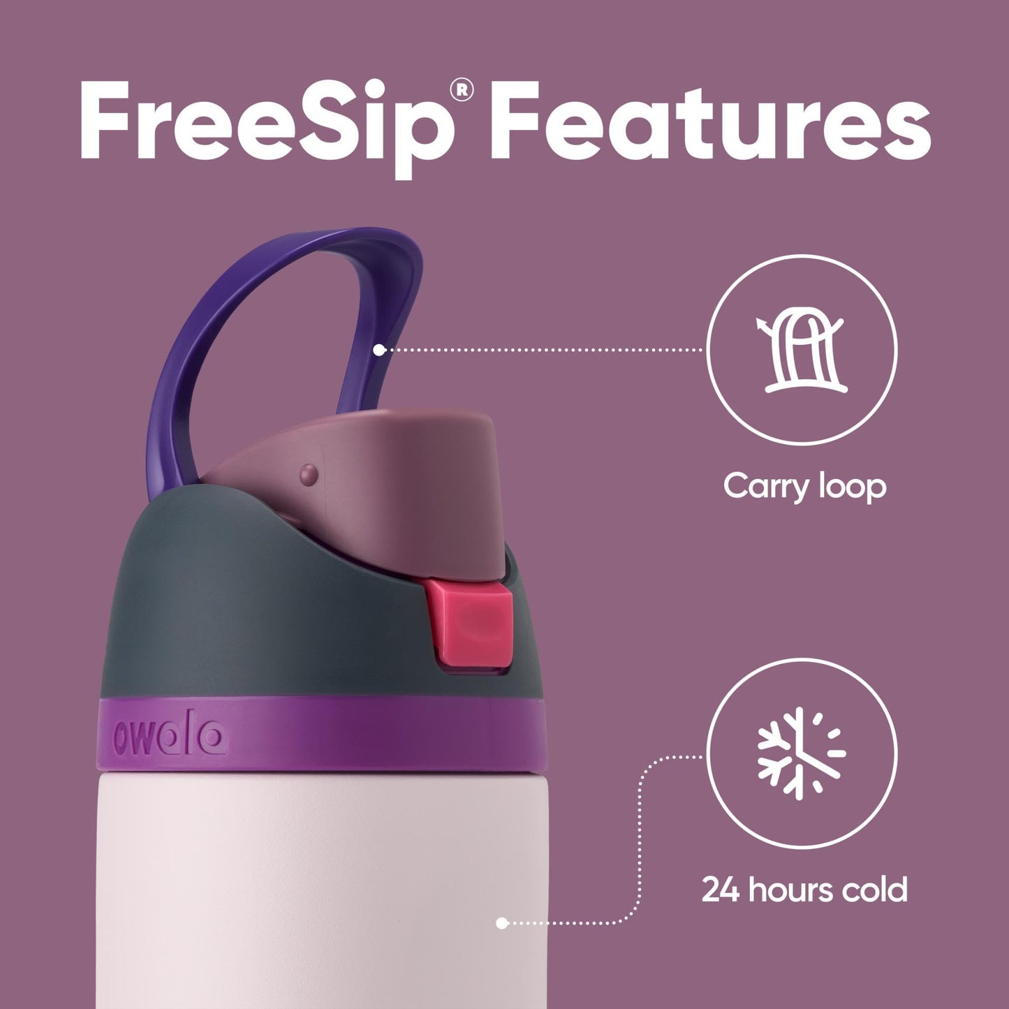 Owala FreeSip Insulated Stainless Steel Water Bottle, 710ml, Dreamy Field