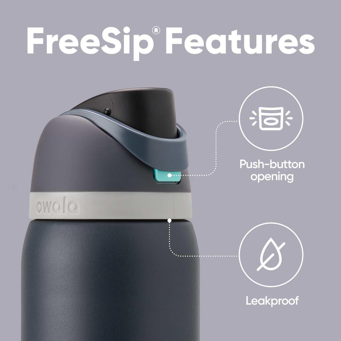 Owala FreeSip Insulated Stainless Steel Water Bottle, 945ml, Foggy Tide