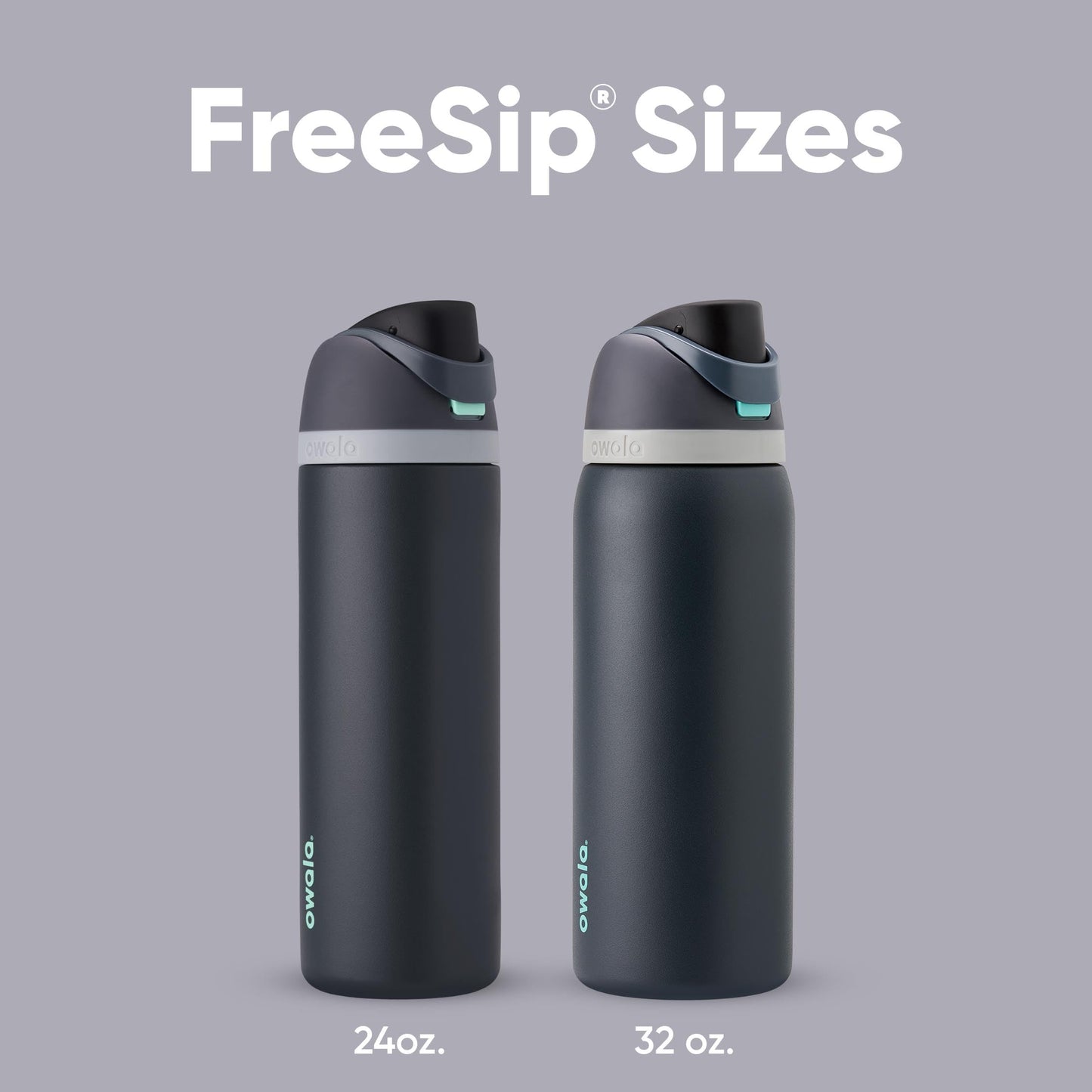 Owala FreeSip Insulated Stainless Steel Water Bottle, 710ml, Foggy Tide