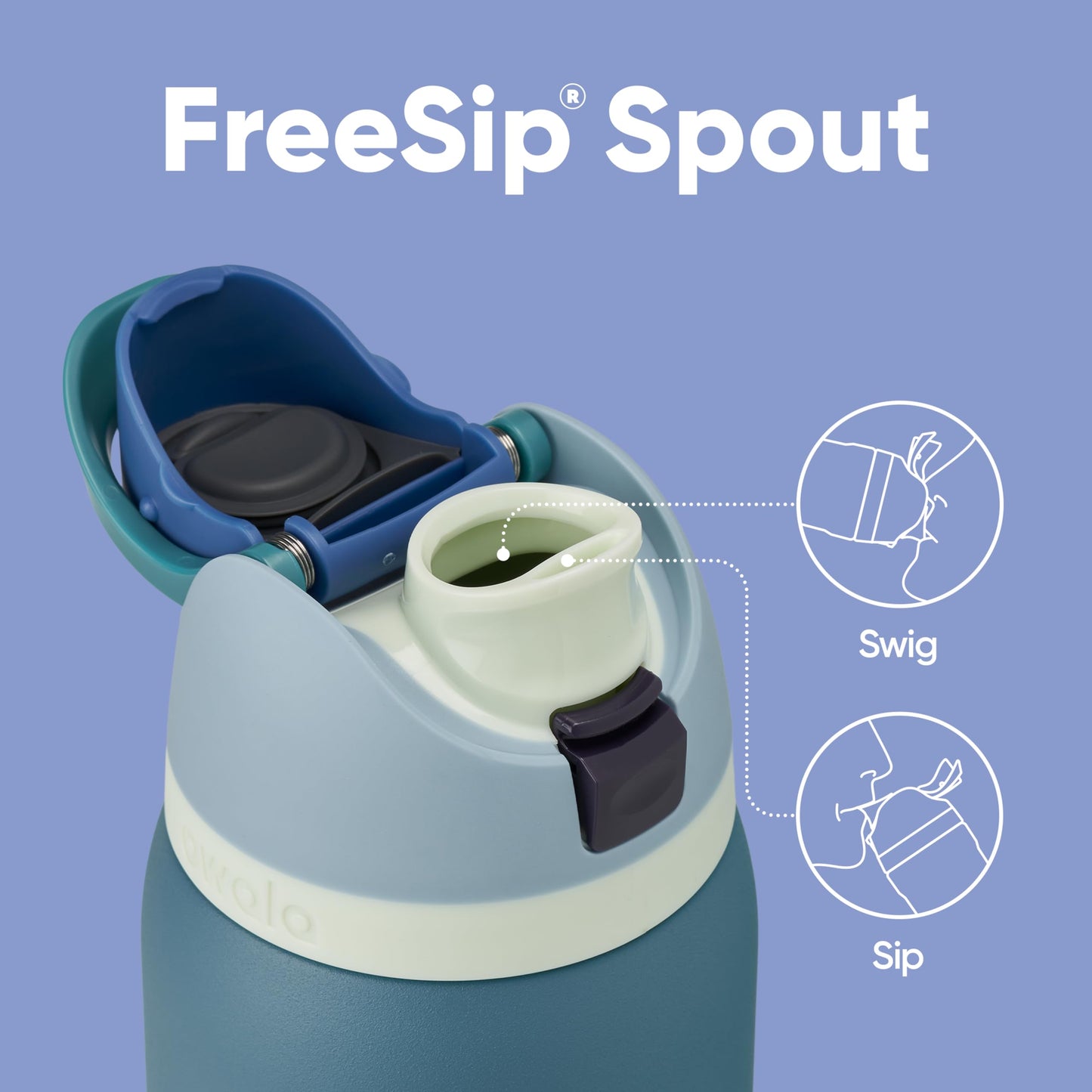 Owala FreeSip Insulated Stainless Steel Water Bottle, 945ml, Denim